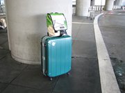 サンフランシスコ国際空港／San Francisco International Airport (SFO)に到着