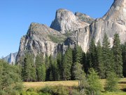 ヨセミテ国立公園の大自然を満喫 -ヨセミテ国立公園／Yosemite National Park-